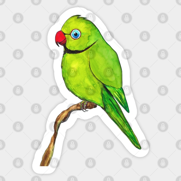 Cute Indian ring neck Sticker by Bwiselizzy